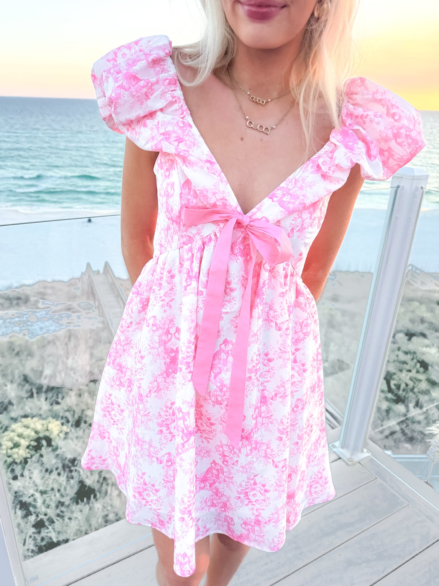 Sassy Shortcake Storybook Toile Dress