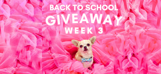 Sassy Shortcake Back to School Giveaway #3: 🎀