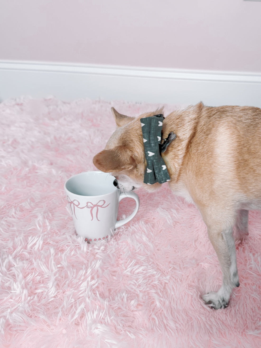 White mug with pink ribbons, on a pink fluffy surface, next to a small dog.
