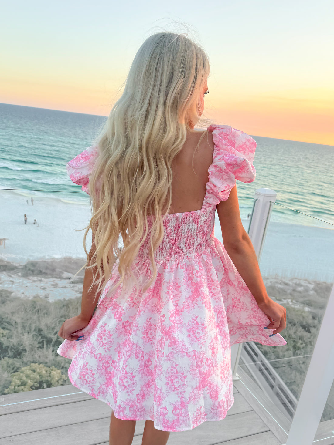 Storybook Toile Dress back view